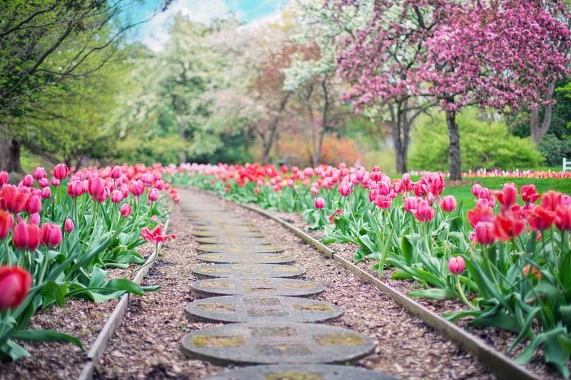 Stone Pathway
